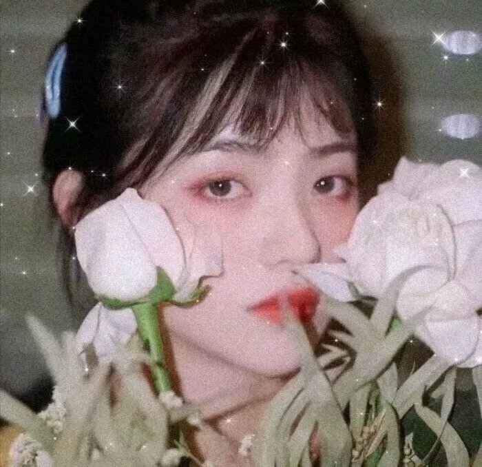 地球上的生灵